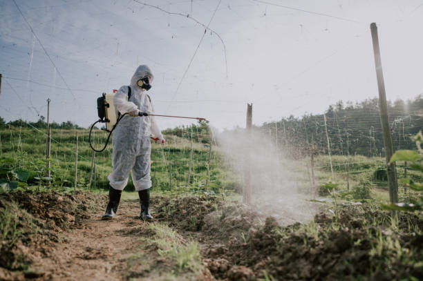 Best Pest Control Treatment  in Lansdowne, MD