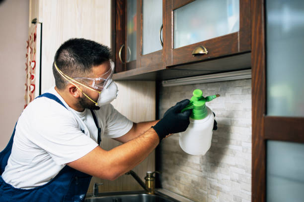 Best Best Pest Control Companies  in Lansdowne, MD