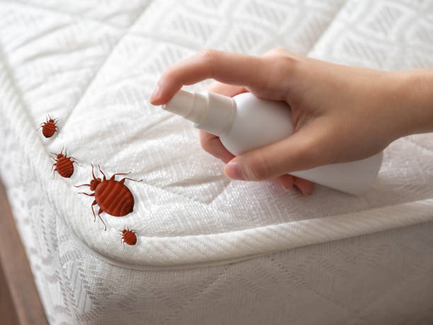 Best Wasp Removal Services  in Lansdowne, MD