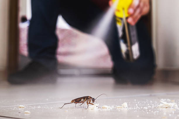 Best Cockroach Control Services  in Lansdowne, MD