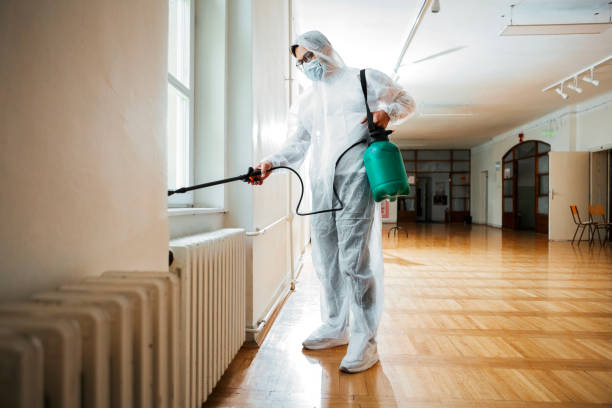 Best Flea Control Services  in Lansdowne, MD