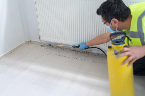 Best Pest Control for Businesses  in Lansdowne, MD